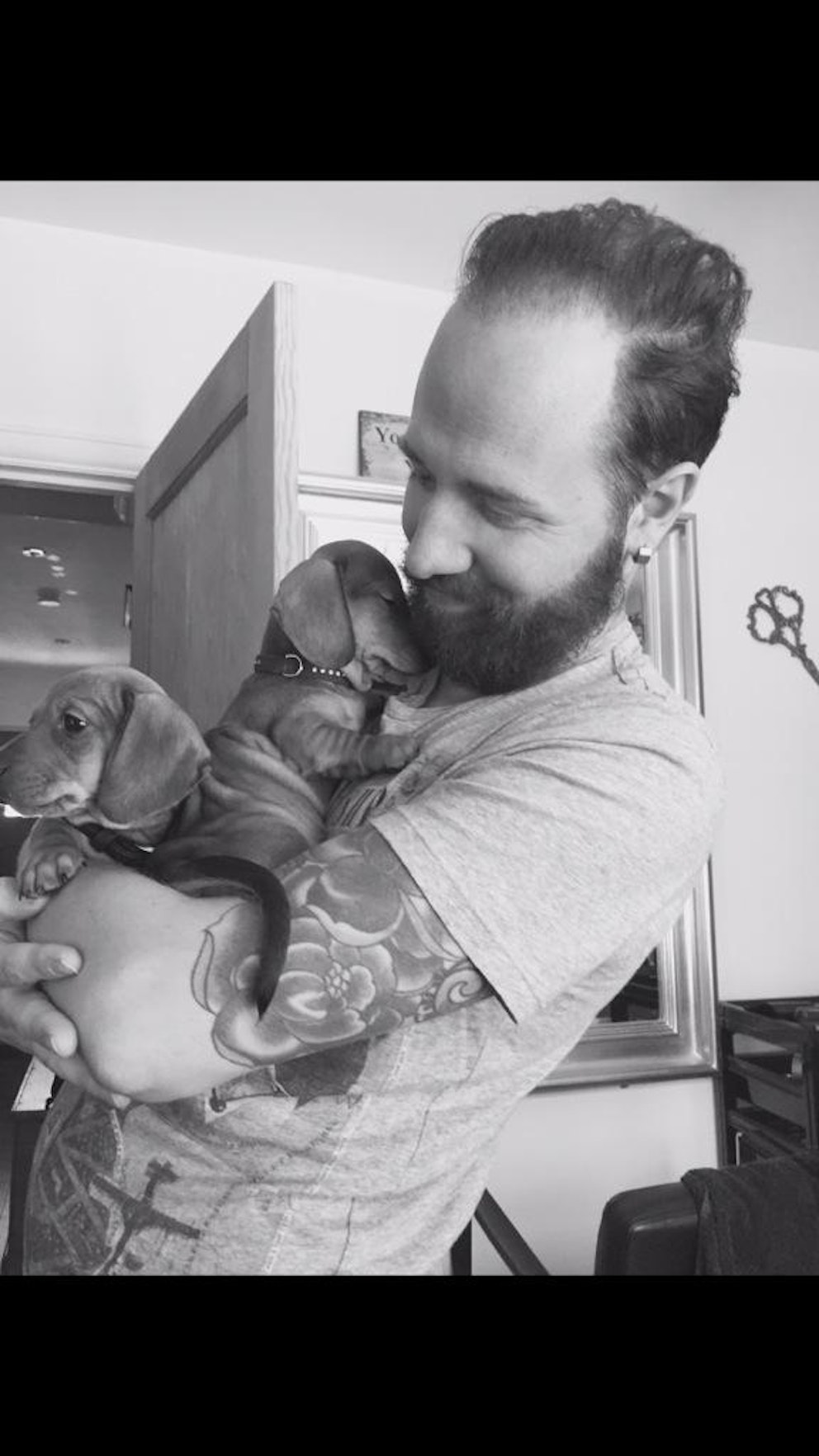 Meet the Gogglebox family pets from Dave the rottweiler to Buster the greyhound Celebrity